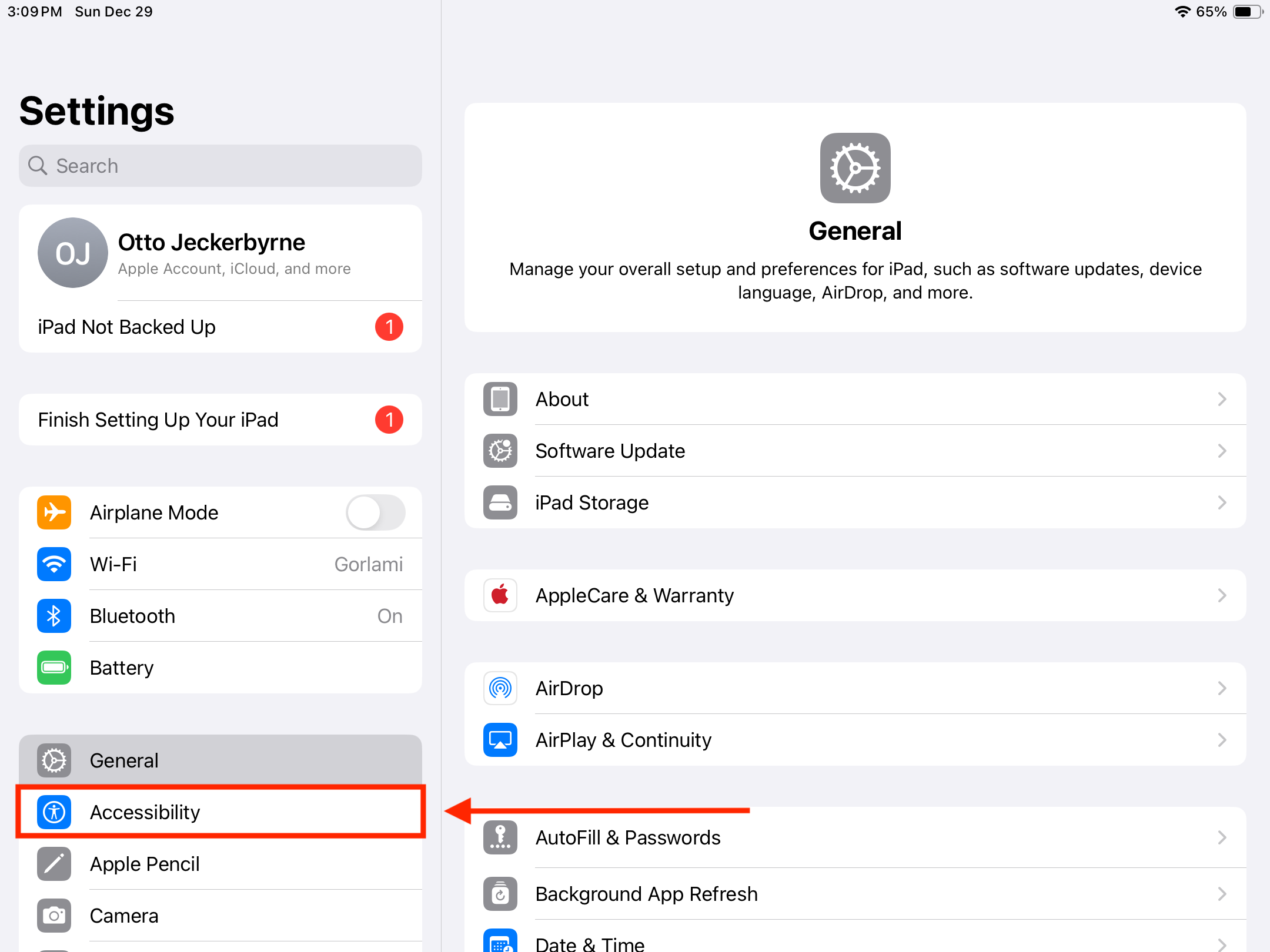 accessibility tab.PNG